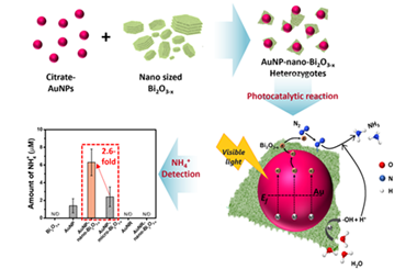 Visible-light responsive gold nanoparticle and nano-sized Bi2O3-x sheet heterozygote structure for efficient photocatalytic conversion of N2 to NH3 2025.100564